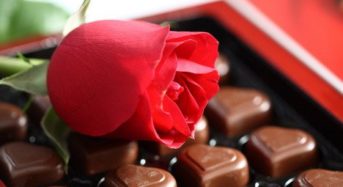 X-factor Of Chocolates